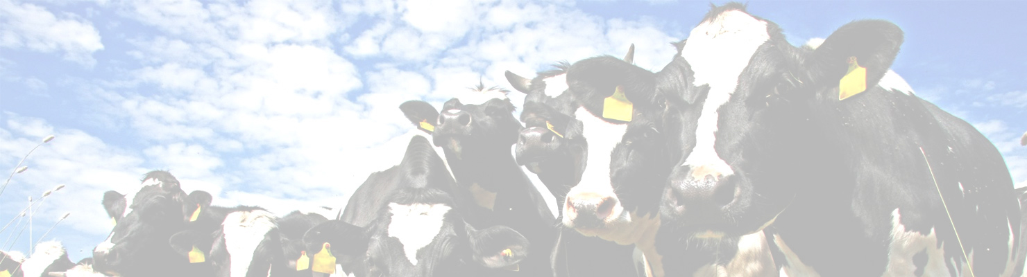 COWSREVSLIDER2